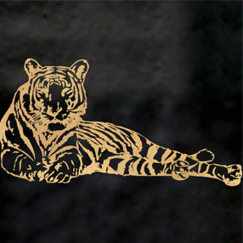Mosaic House Moroccan tile CH_Tiger AR 6 Right Black,    chiseled field 